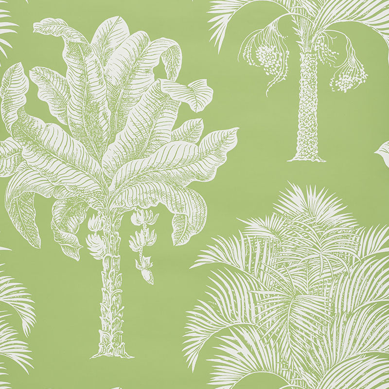GRAND-PALMS-LEAF-SCHUMACHER-5009620
