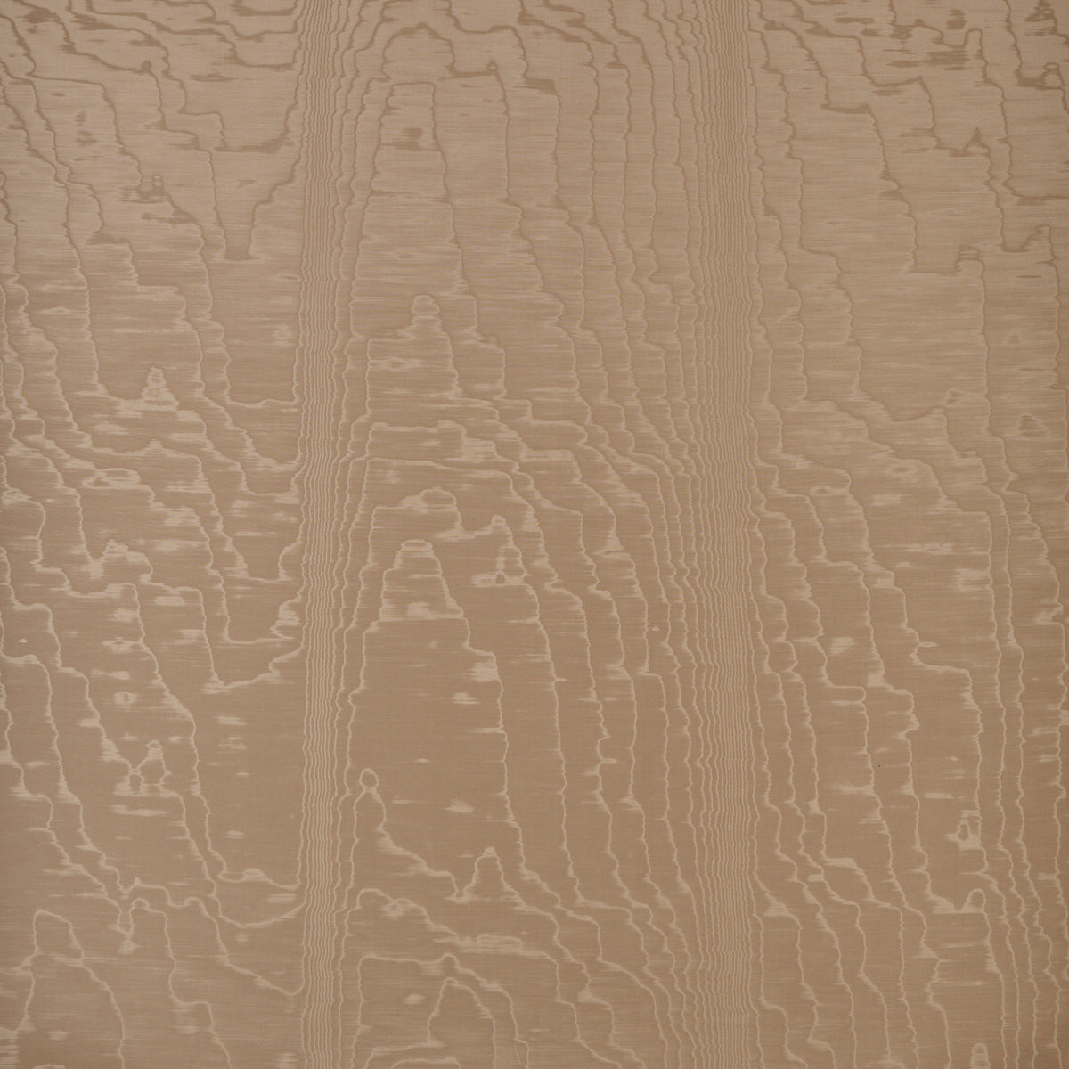 MOIR-WALLCOVERING-FAWN-SCHUMACHER-5009671
