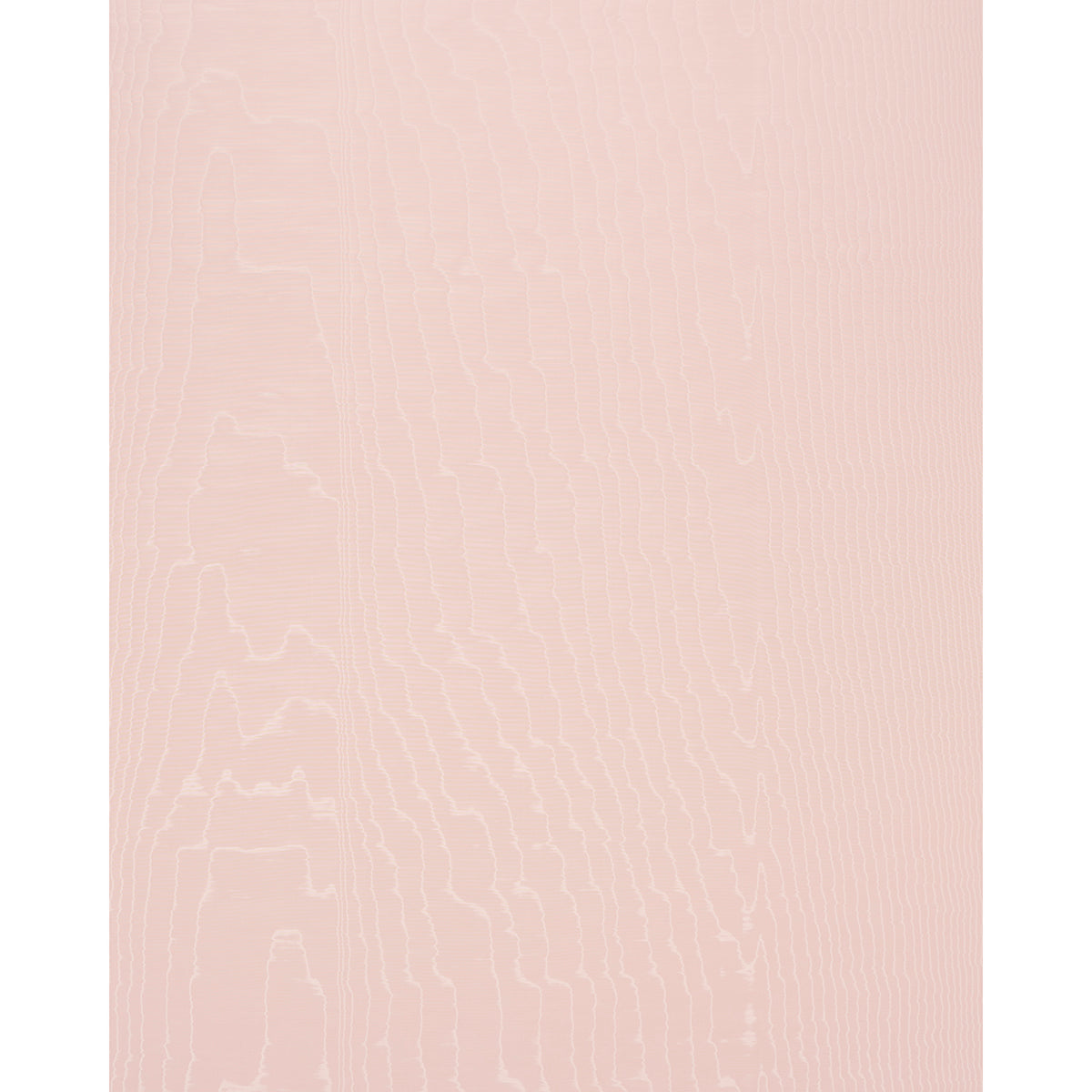 MOIR-WALLCOVERING-ROSE-SCHUMACHER-5009675