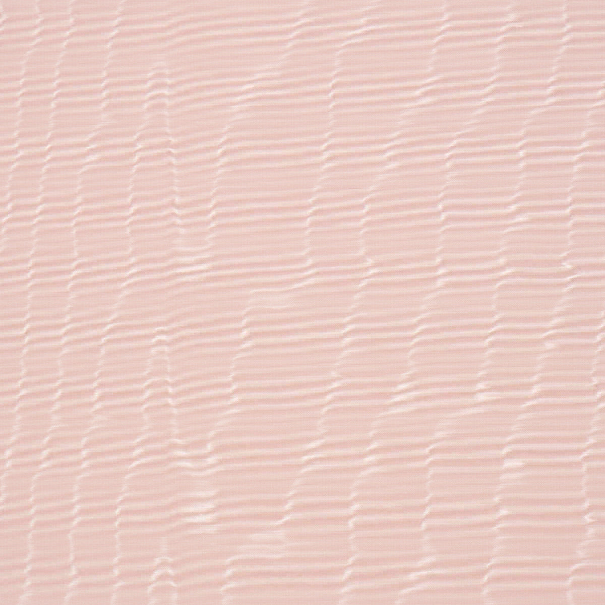 MOIR-WALLCOVERING-ROSE-SCHUMACHER-5009675