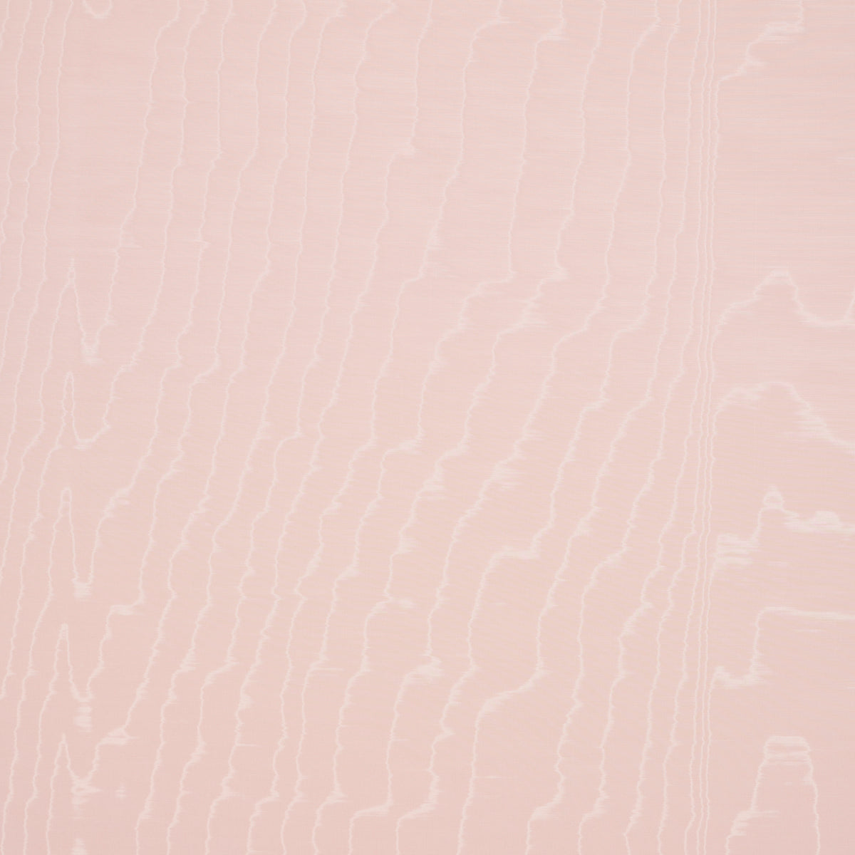 MOIR-WALLCOVERING-ROSE-SCHUMACHER-5009675