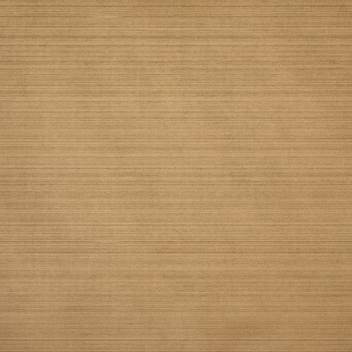 DANOVA-GOLD-SCHUMACHER-5010032