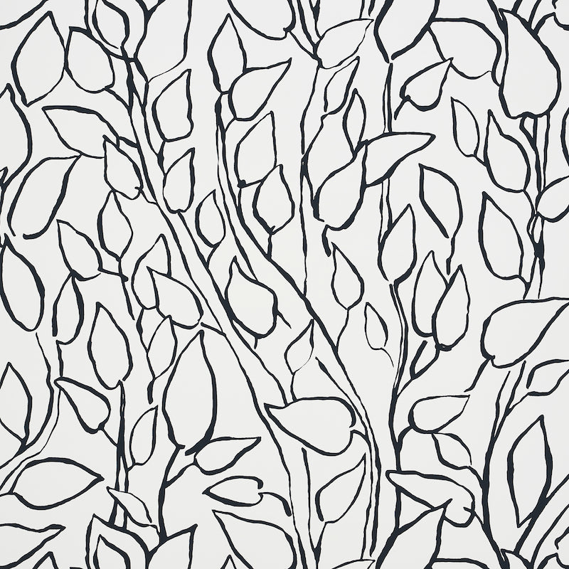 SOLANDRA-VINE-BLACK-SCHUMACHER-5010071