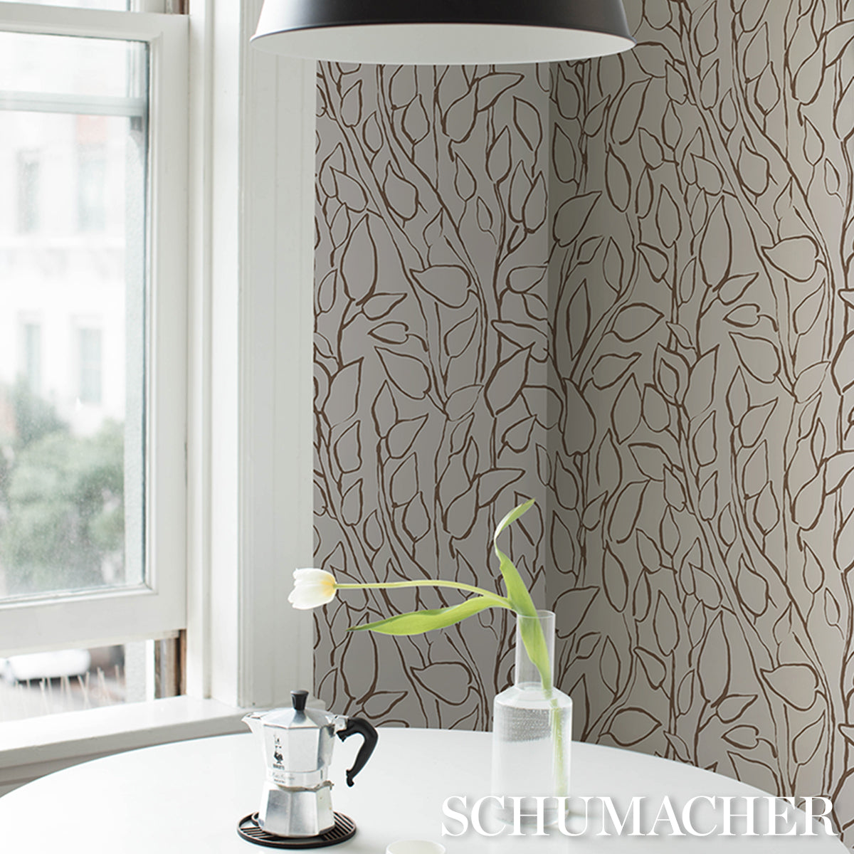 SOLANDRA-VINE-BROWN-SCHUMACHER-5010074