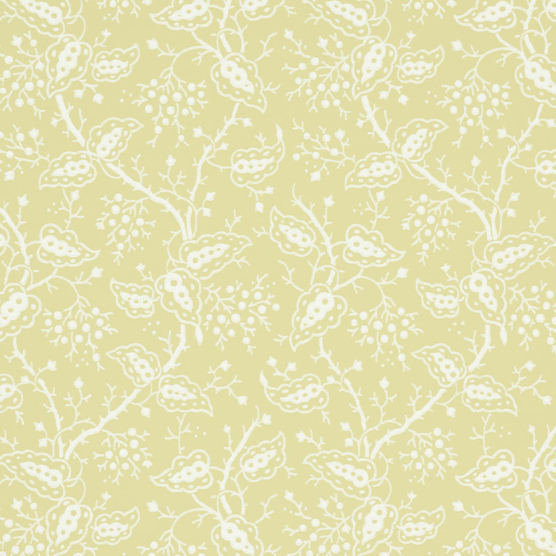 DARBY-BUTTERCUP-SCHUMACHER-5010182
