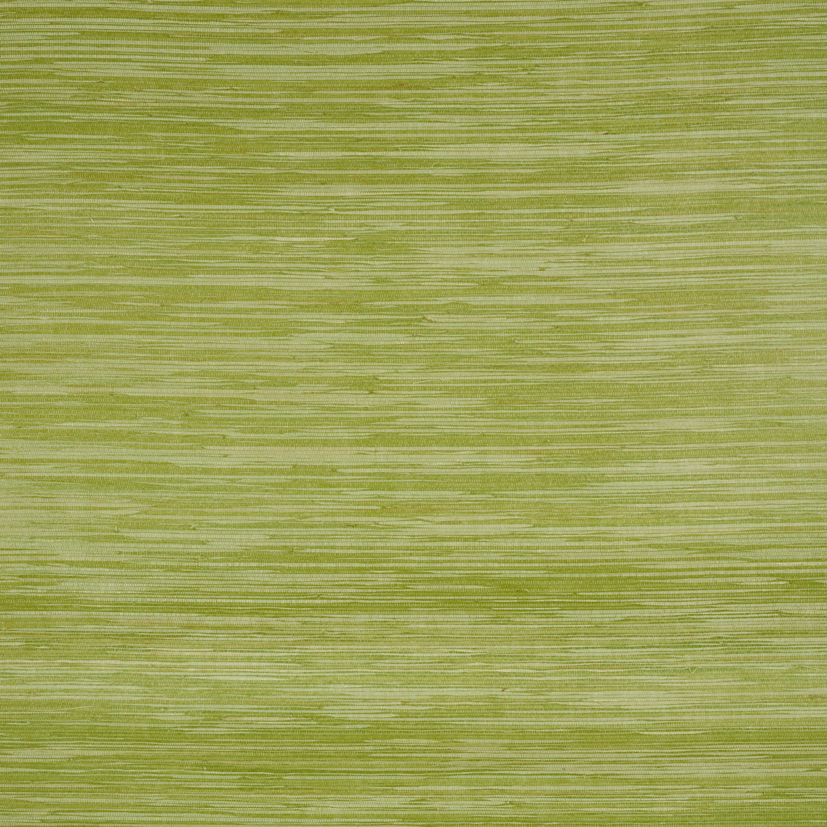 DYED-RAFFIA-LEAF-SCHUMACHER-5010343