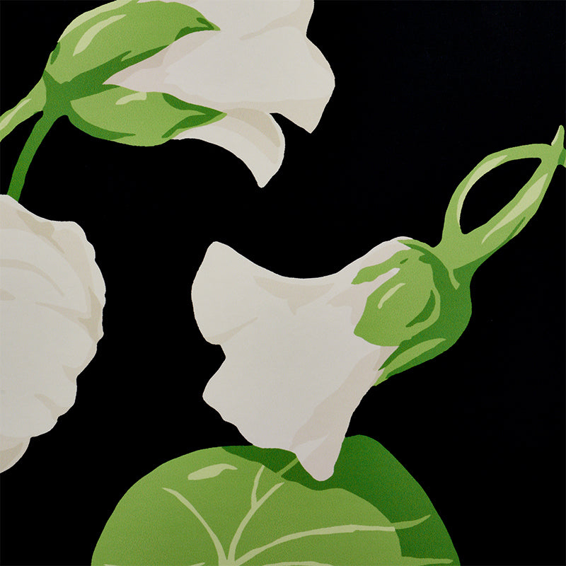 NASTURTIUM-NOIR-SCHUMACHER-5010470