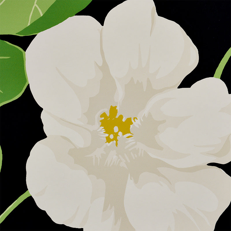 NASTURTIUM-NOIR-SCHUMACHER-5010470