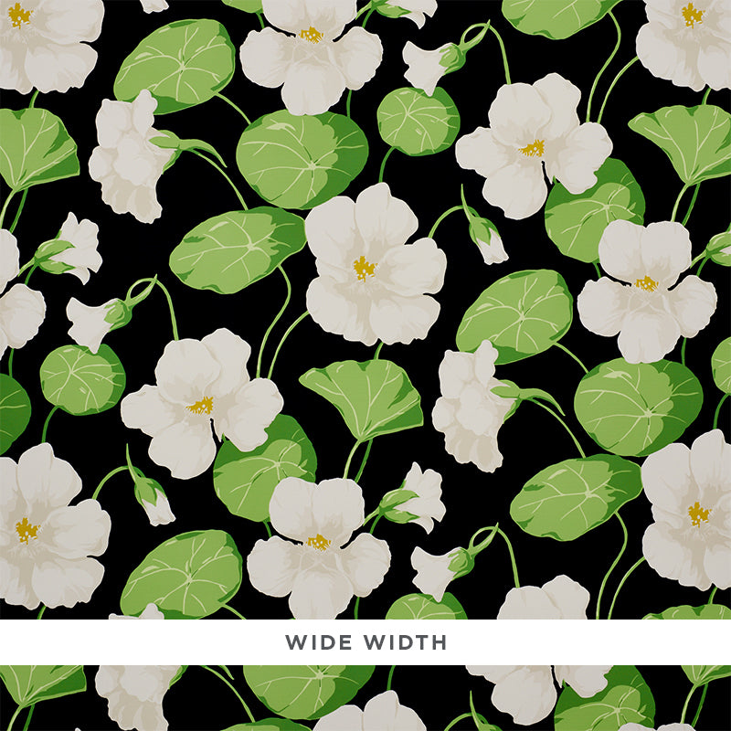 NASTURTIUM-NOIR-SCHUMACHER-5010470
