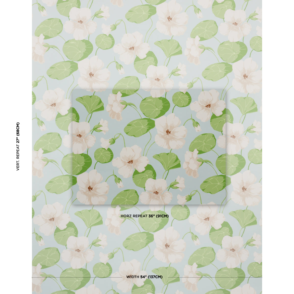 NASTURTIUM-SKY-SCHUMACHER-5010471