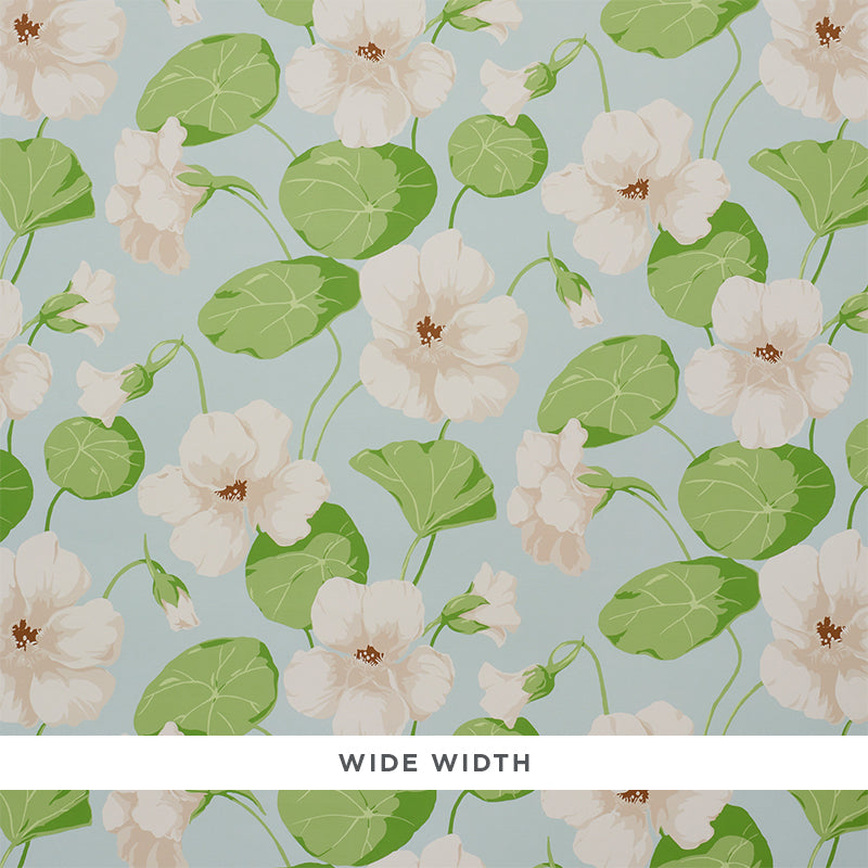 NASTURTIUM-SKY-SCHUMACHER-5010471
