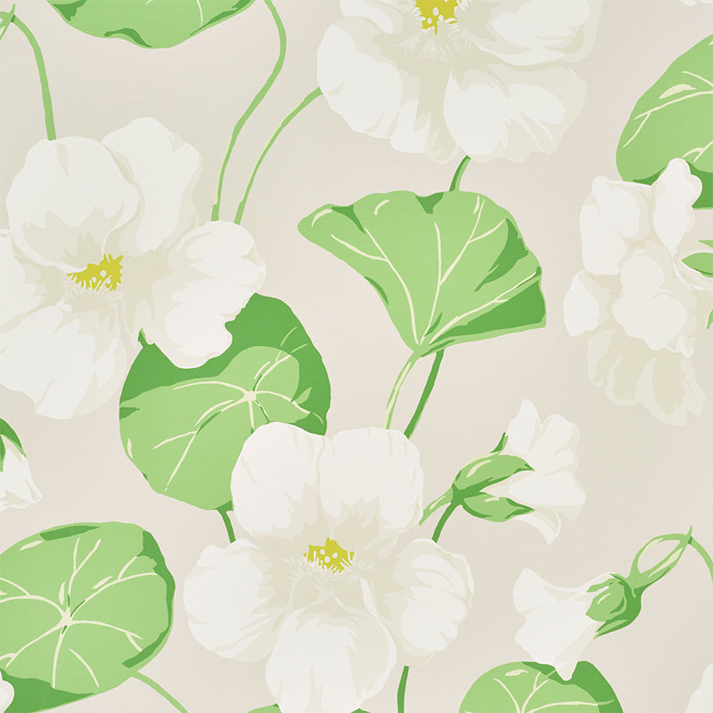 NASTURTIUM-STONE-SCHUMACHER-5010472