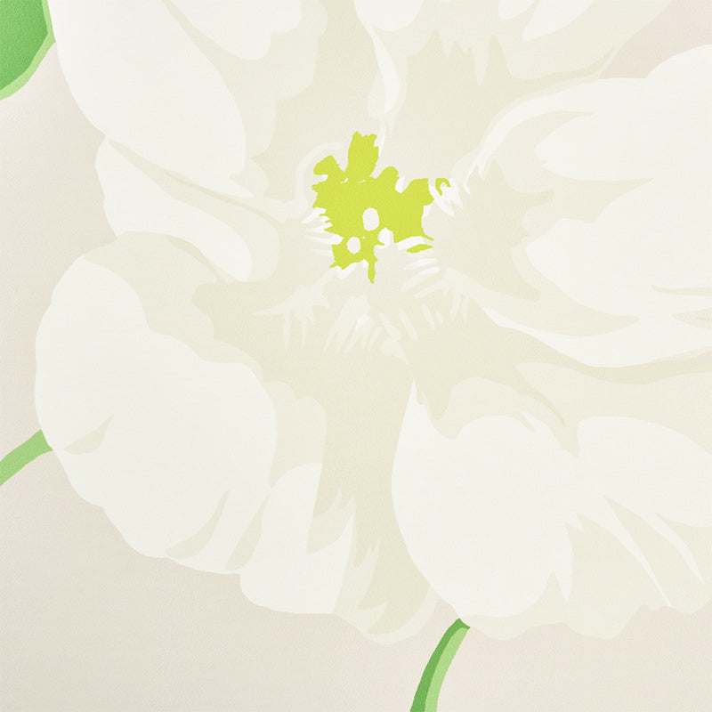 NASTURTIUM-STONE-SCHUMACHER-5010472