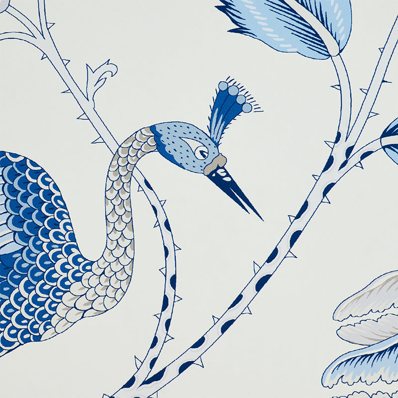 CAMPAGNE-BLEU-GRIS-SCHUMACHER-5010511