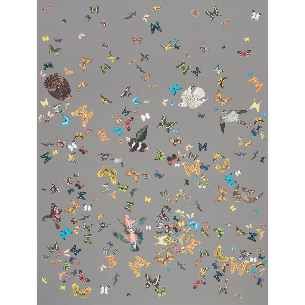 QUEENS-FLIGHT-PANEL-SET-GREY-SCHUMACHER-5010862