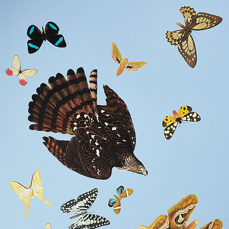 QUEENS-FLIGHT-PANEL-SET-SKY-SCHUMACHER-5010865