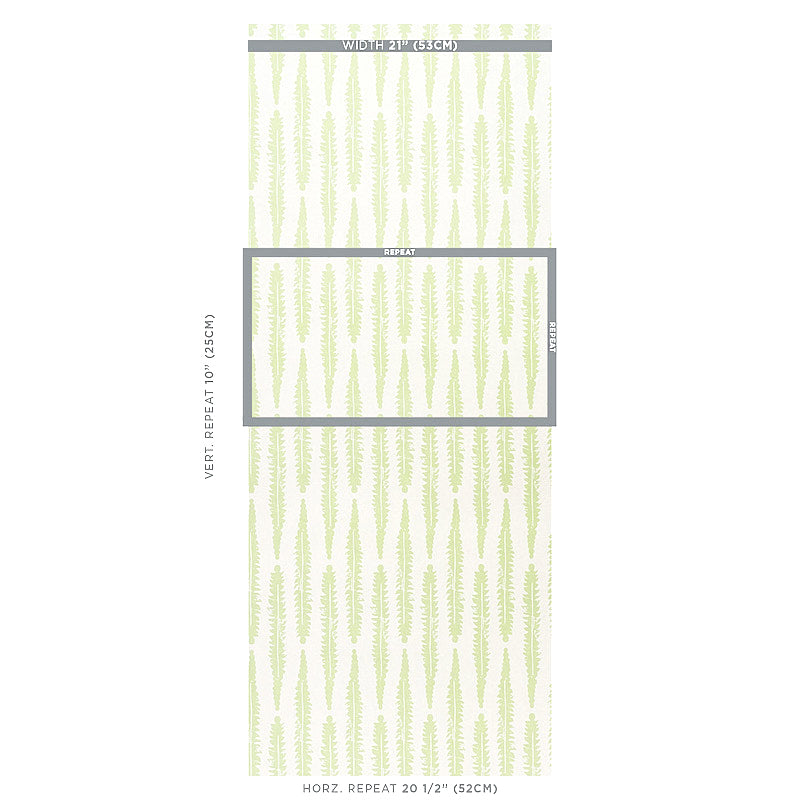 FERN-SAGE-SCHUMACHER-5011111