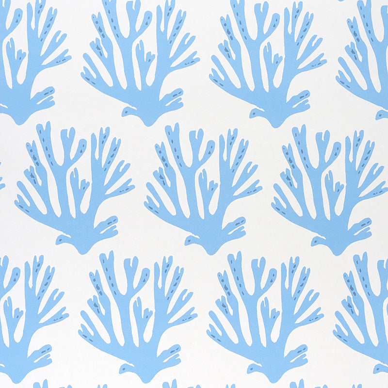 CORAL-BLUE-SCHUMACHER-5011201