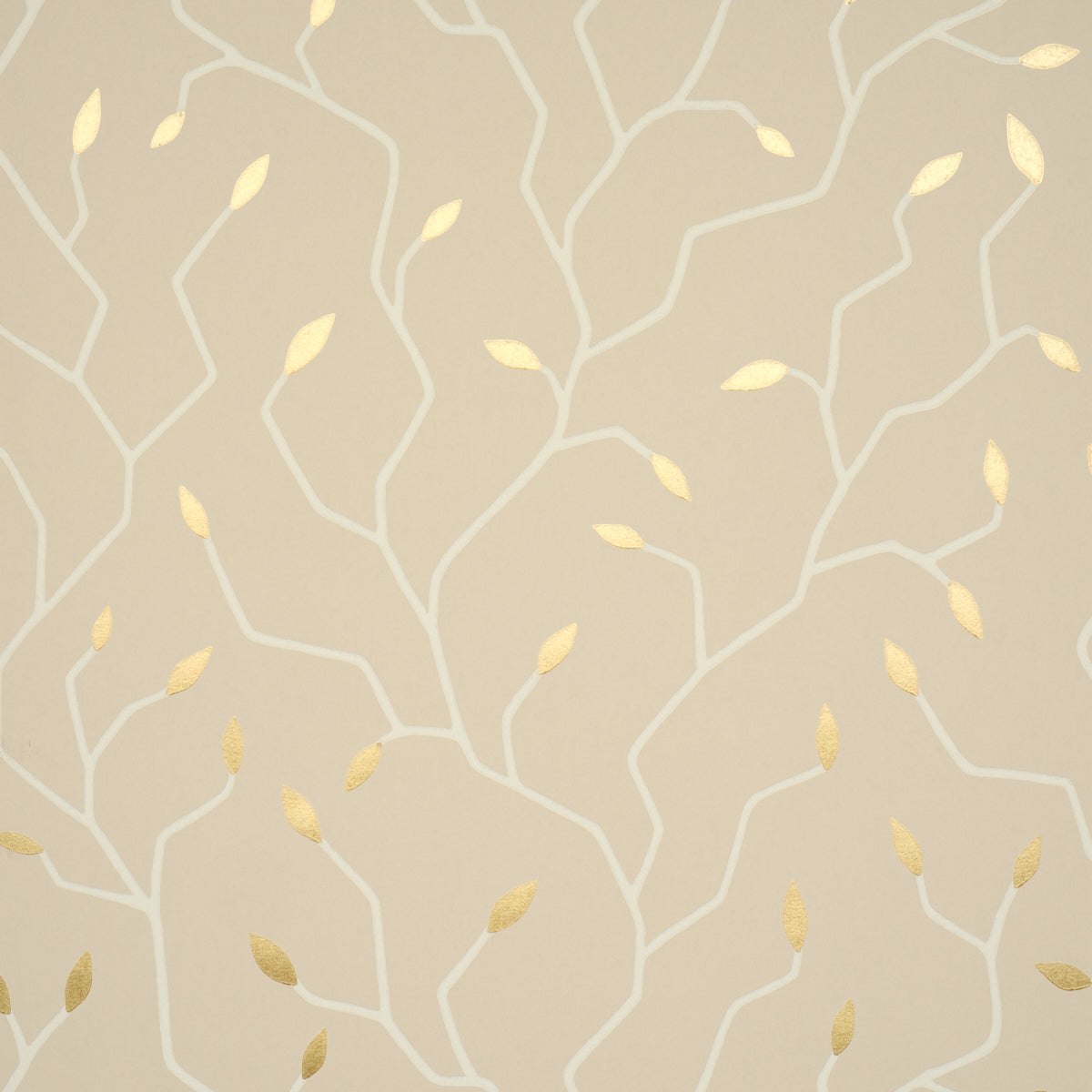 CYMBELINE-ALABASTER-SCHUMACHER-5011384