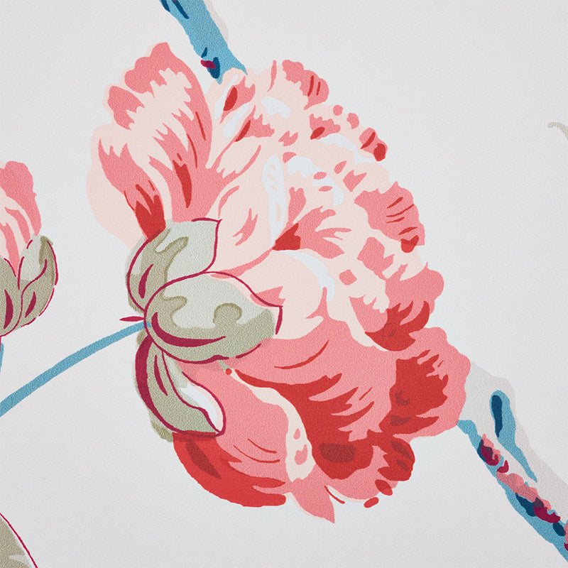 DAYDREAM-ROSE-SCHUMACHER-5011401