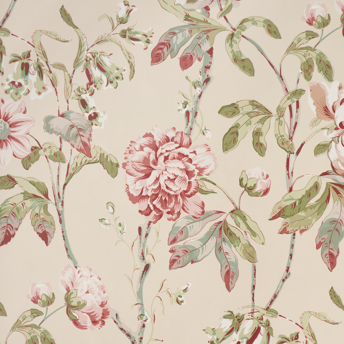 DAYDREAM-PINK-SCHUMACHER-5011404