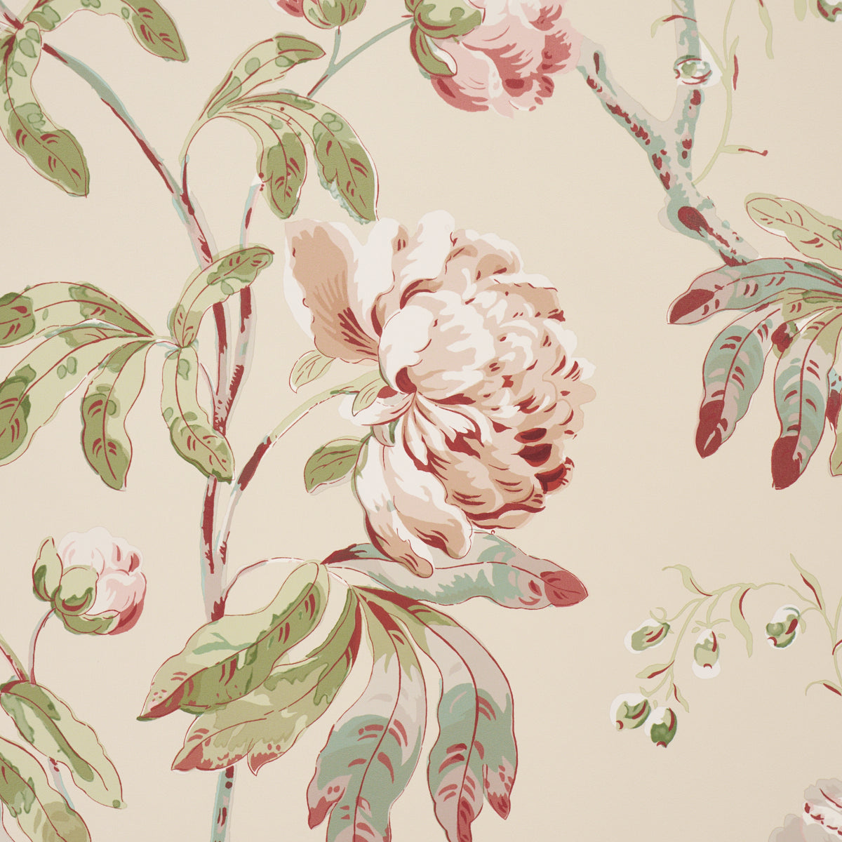 DAYDREAM-PINK-SCHUMACHER-5011404