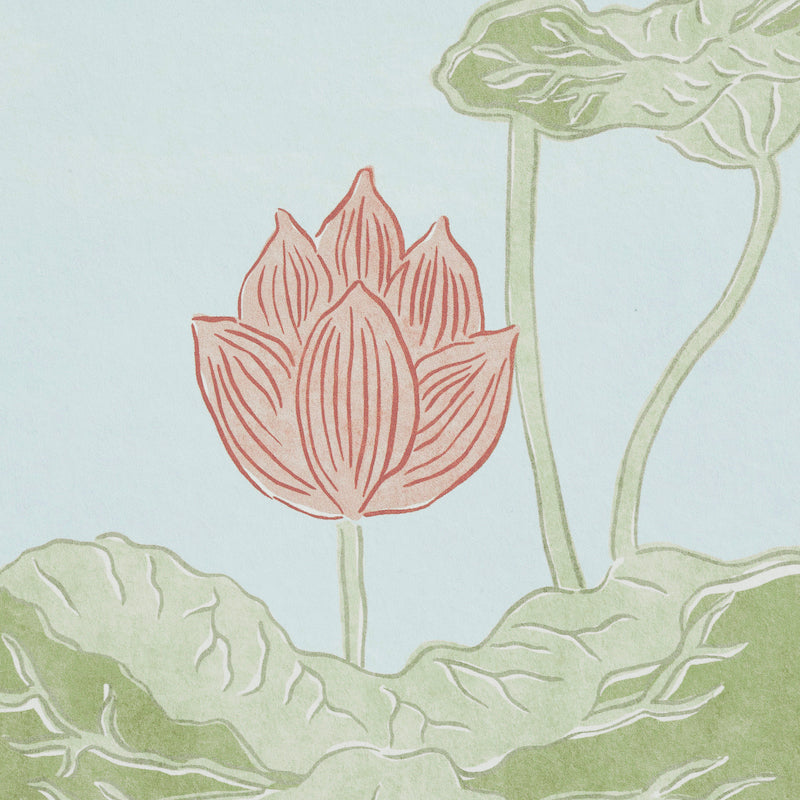KIREINA-LOTUS-PANEL-SET-MINERAL-SCHUMACHER-5011692
