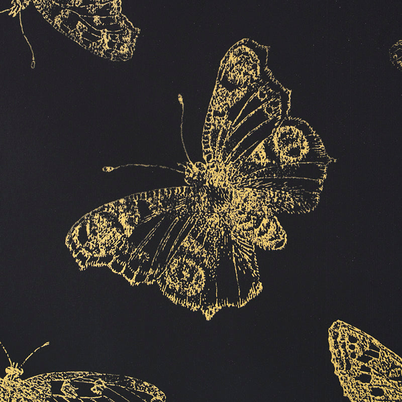 BURNELL-BUTTERFLY-BLACK-SCHUMACHER-5011742