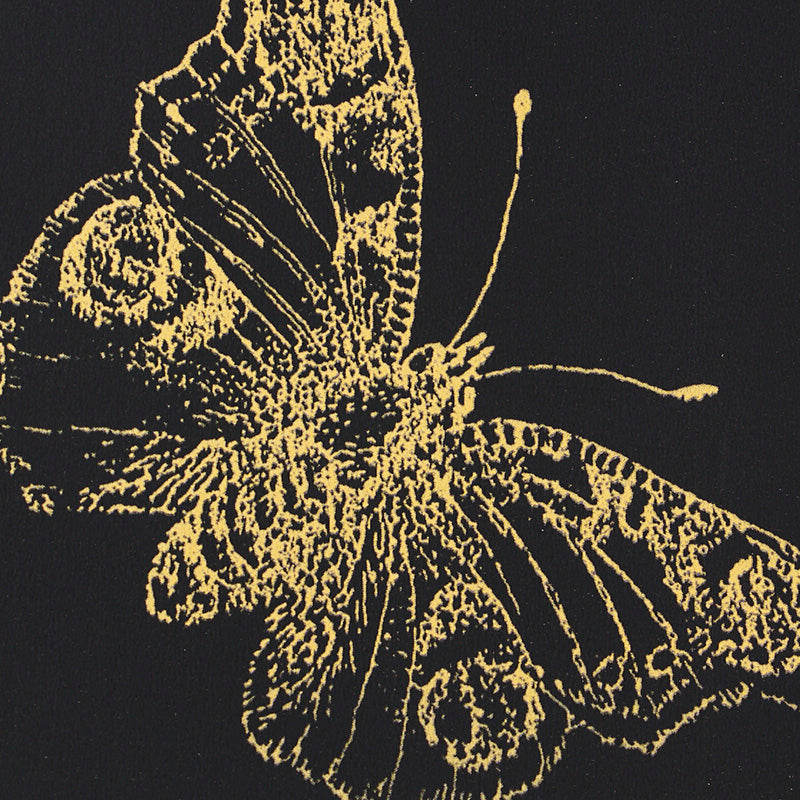 BURNELL-BUTTERFLY-BLACK-SCHUMACHER-5011742