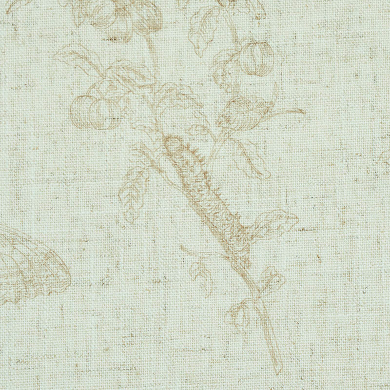 BAUDIN-BUTTERFLY-LINEN-NATURAL-SCHUMACHER-5011832