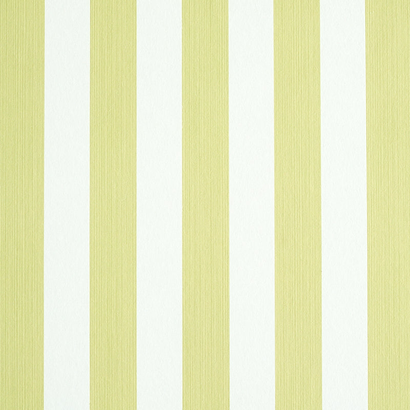 EDWIN-STRIPE-MEDIUM-CITRON-SCHUMACHER-5011888
