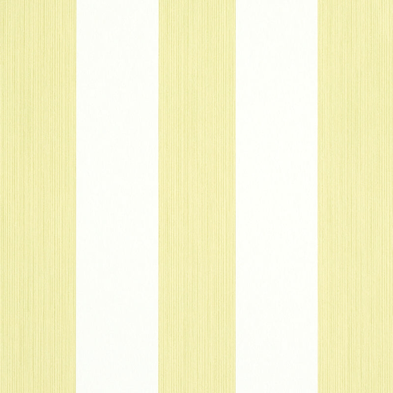 EDWIN-STRIPE-WIDE-CITRON-SCHUMACHER-5011908