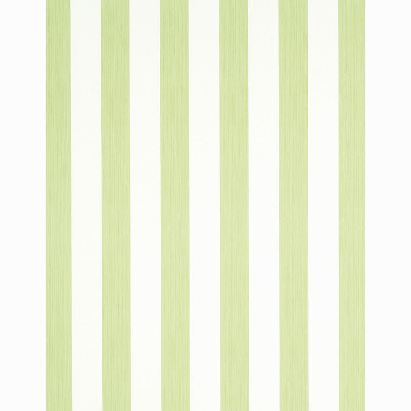 EDWIN-STRIPE-WIDE-LEAF-SCHUMACHER-5011909
