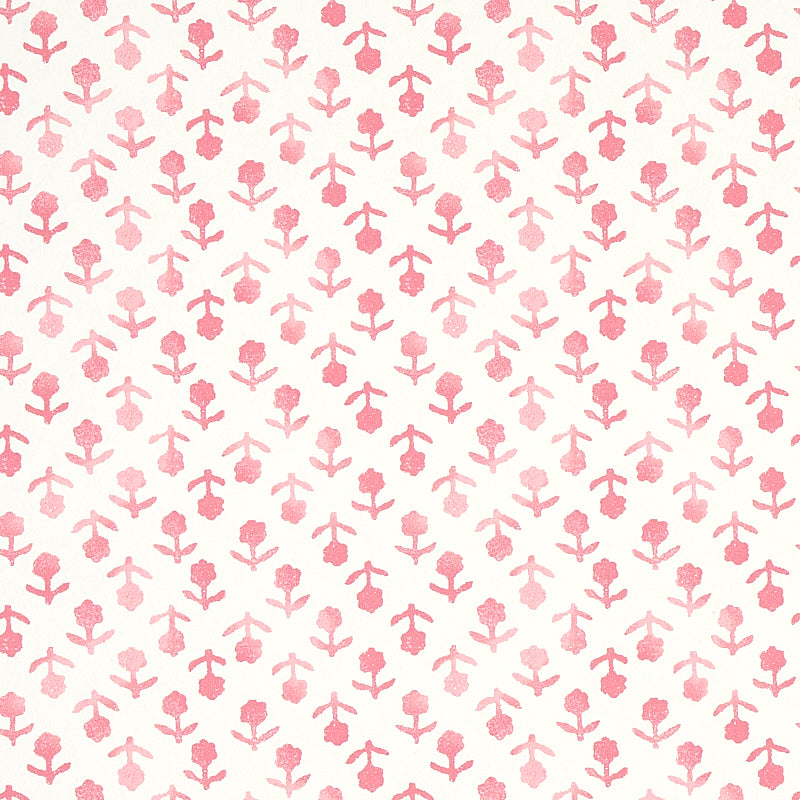 BEATRIZ-PINK-SCHUMACHER-5011940