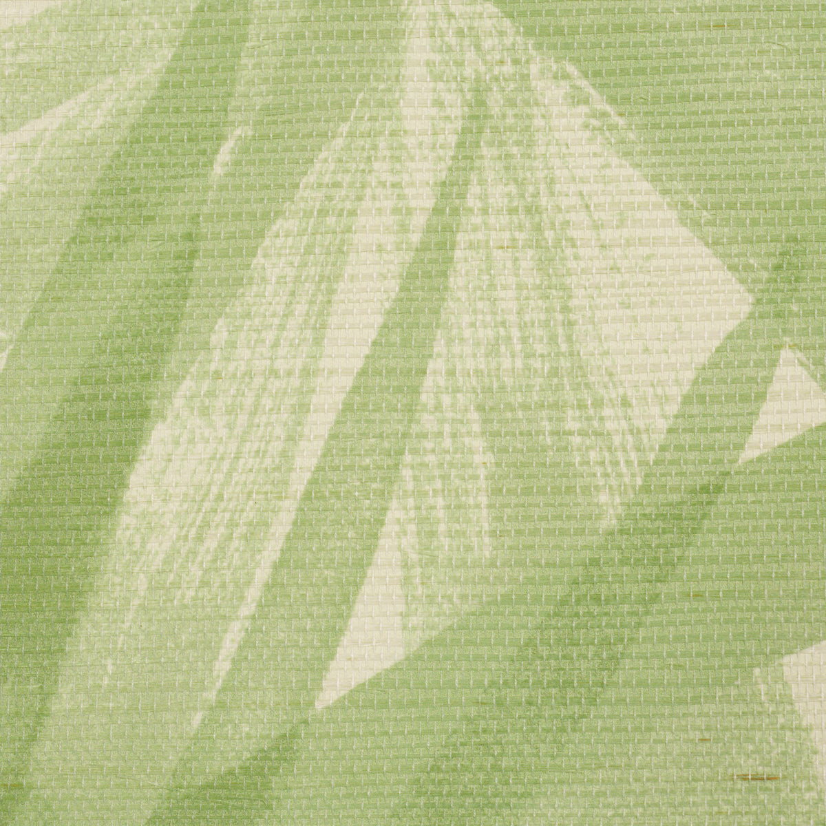 SUNLIT-PALM-SISAL-PISTACHIO-SCHUMACHER-5012042