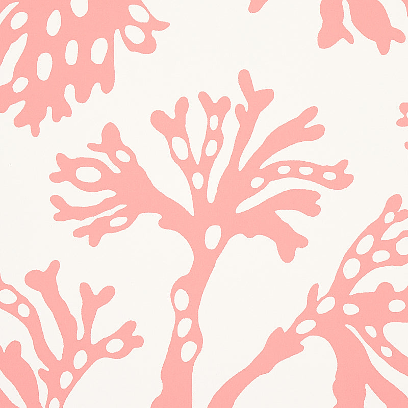 ANTHOZA-CORAL-SCHUMACHER-5012132