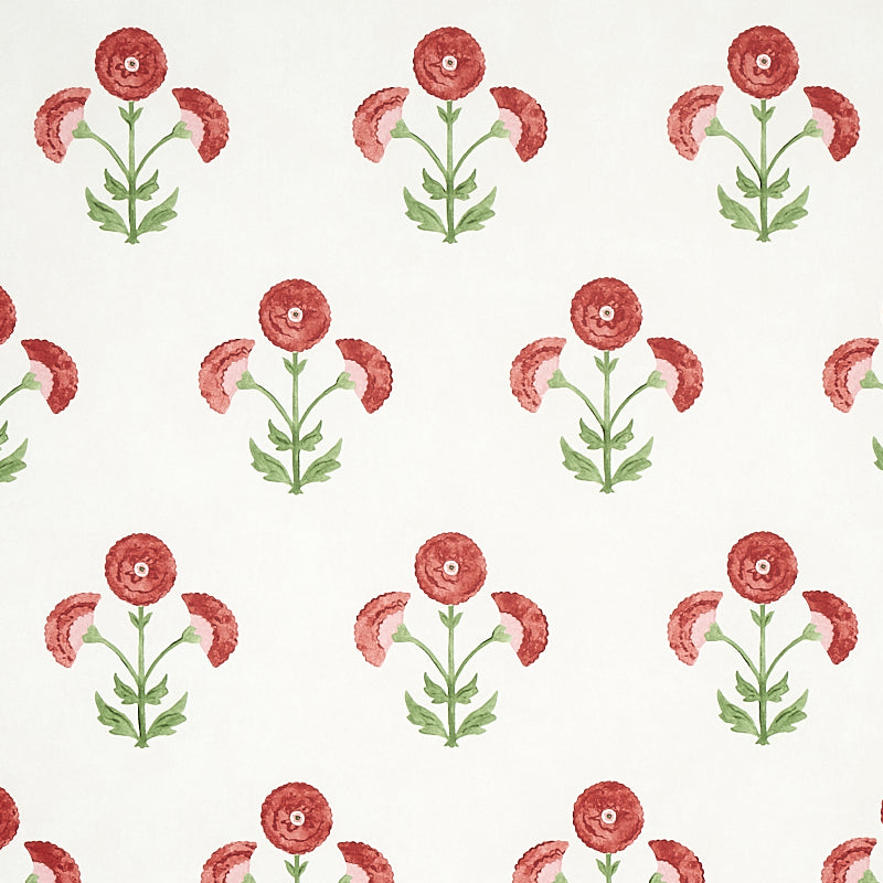 SARANDA-FLOWER-CARDINAL-SCHUMACHER-5012410