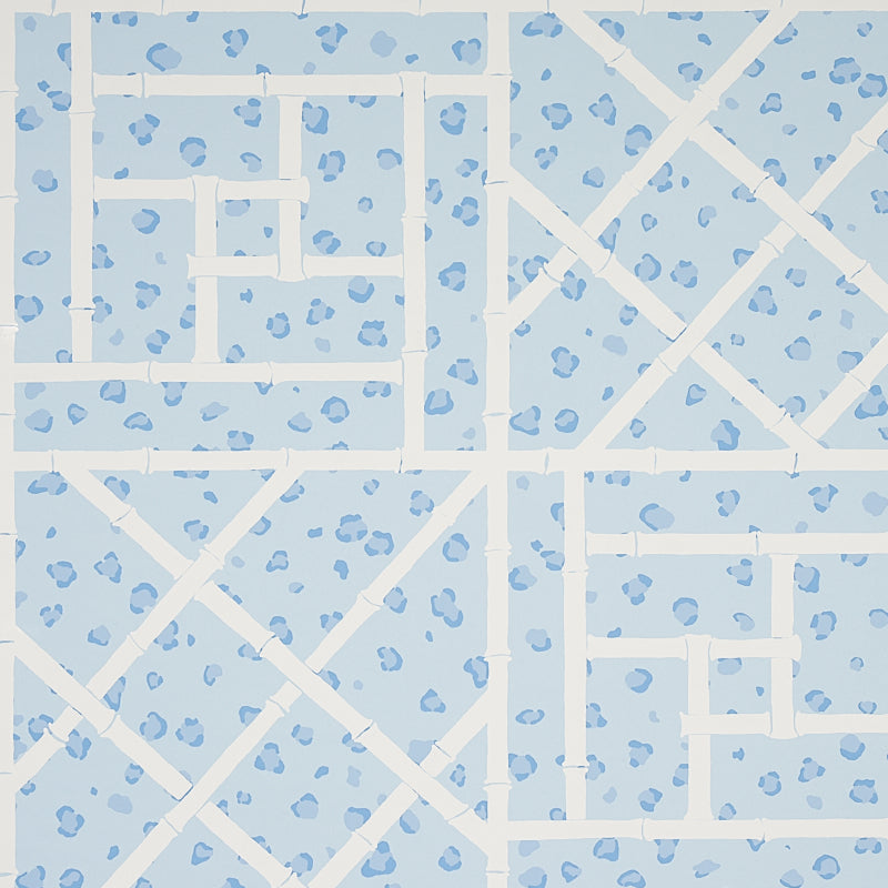 FANCY-BEAST-SKY-BLUE-SCHUMACHER-5012562