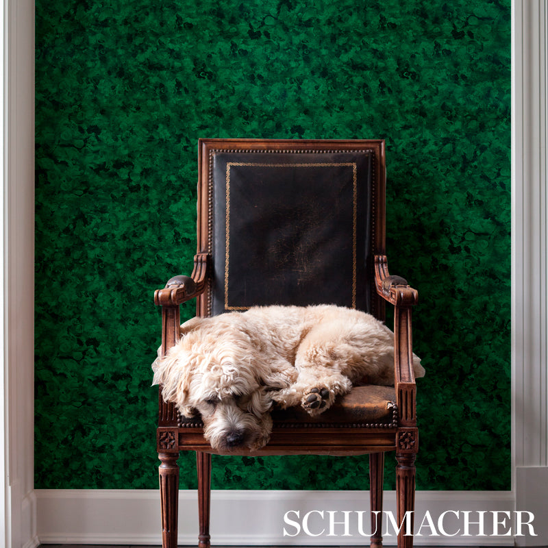 XANADU-MALACHITE-SCHUMACHER-5012600