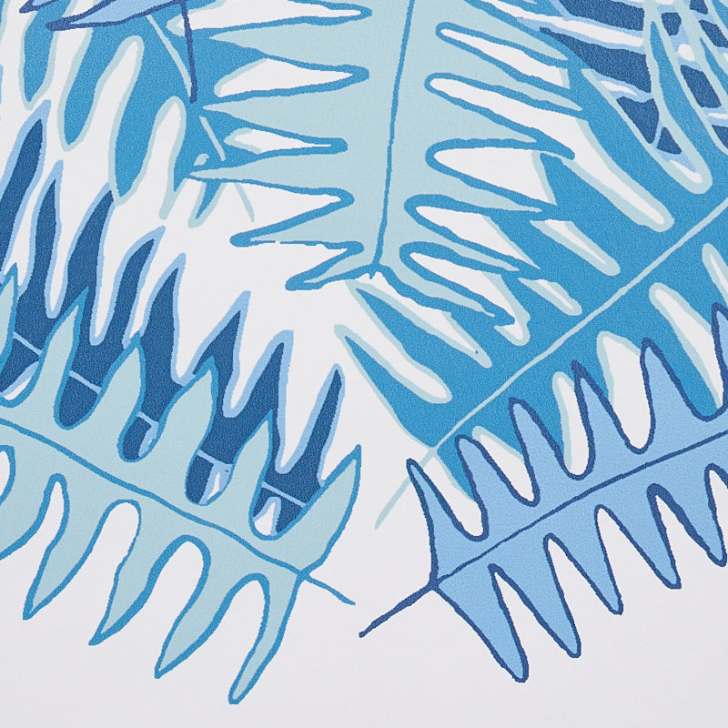 CANYON-FERNS-LAGOON-SCHUMACHER-5012620