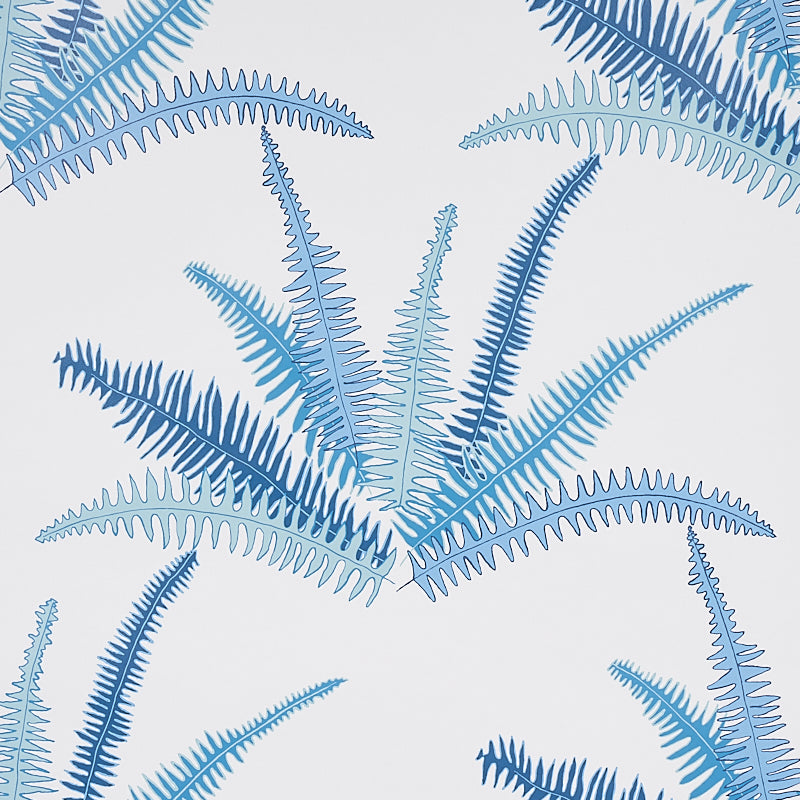 CANYON-FERNS-LAGOON-SCHUMACHER-5012620