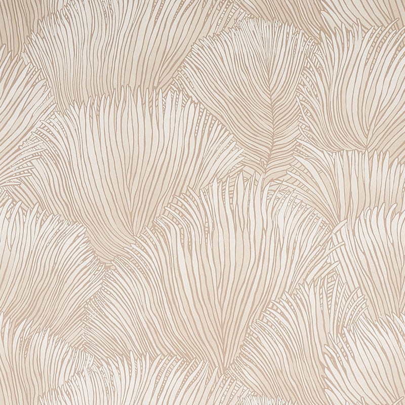 FONDALE-IVORY-SCHUMACHER-5012650
