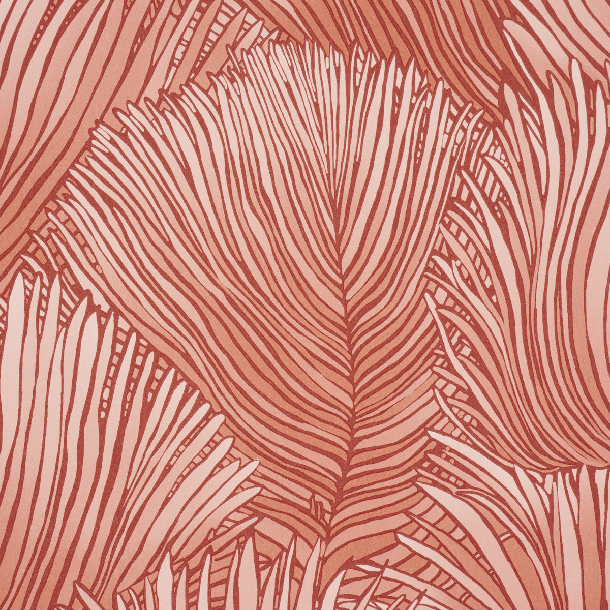 FONDALE-PINK-SCHUMACHER-5012654