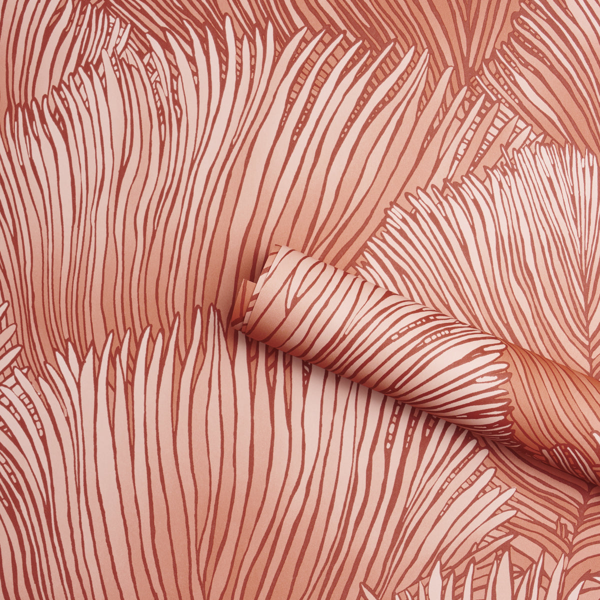 FONDALE-PINK-SCHUMACHER-5012654