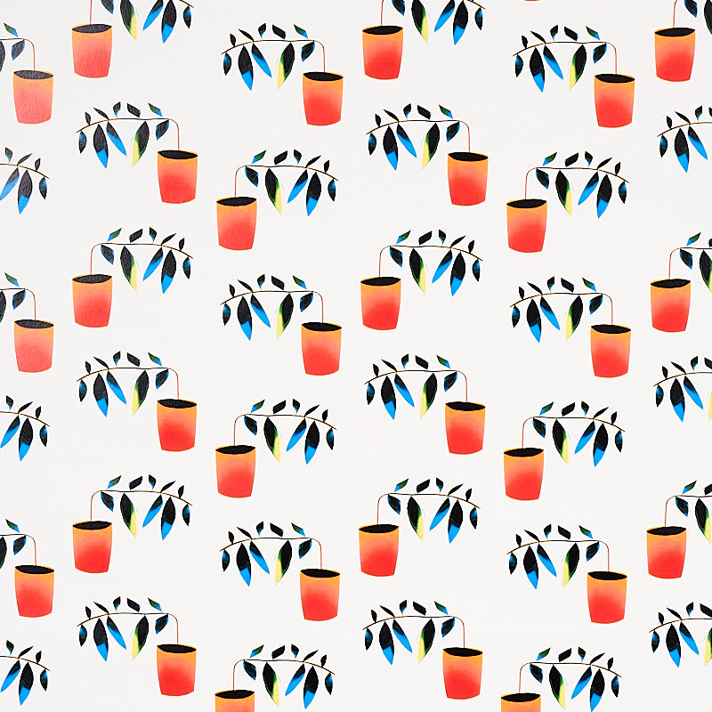 REACHING-OUT-SPECTRUM-MULTI-SCHUMACHER-5012710
