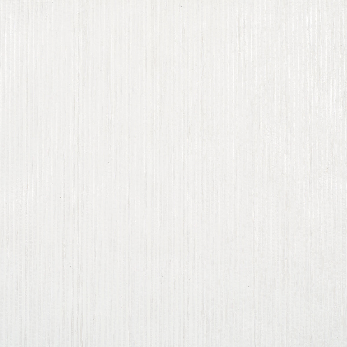 PAPER-STRIPE-WHITE-SCHUMACHER-5012980