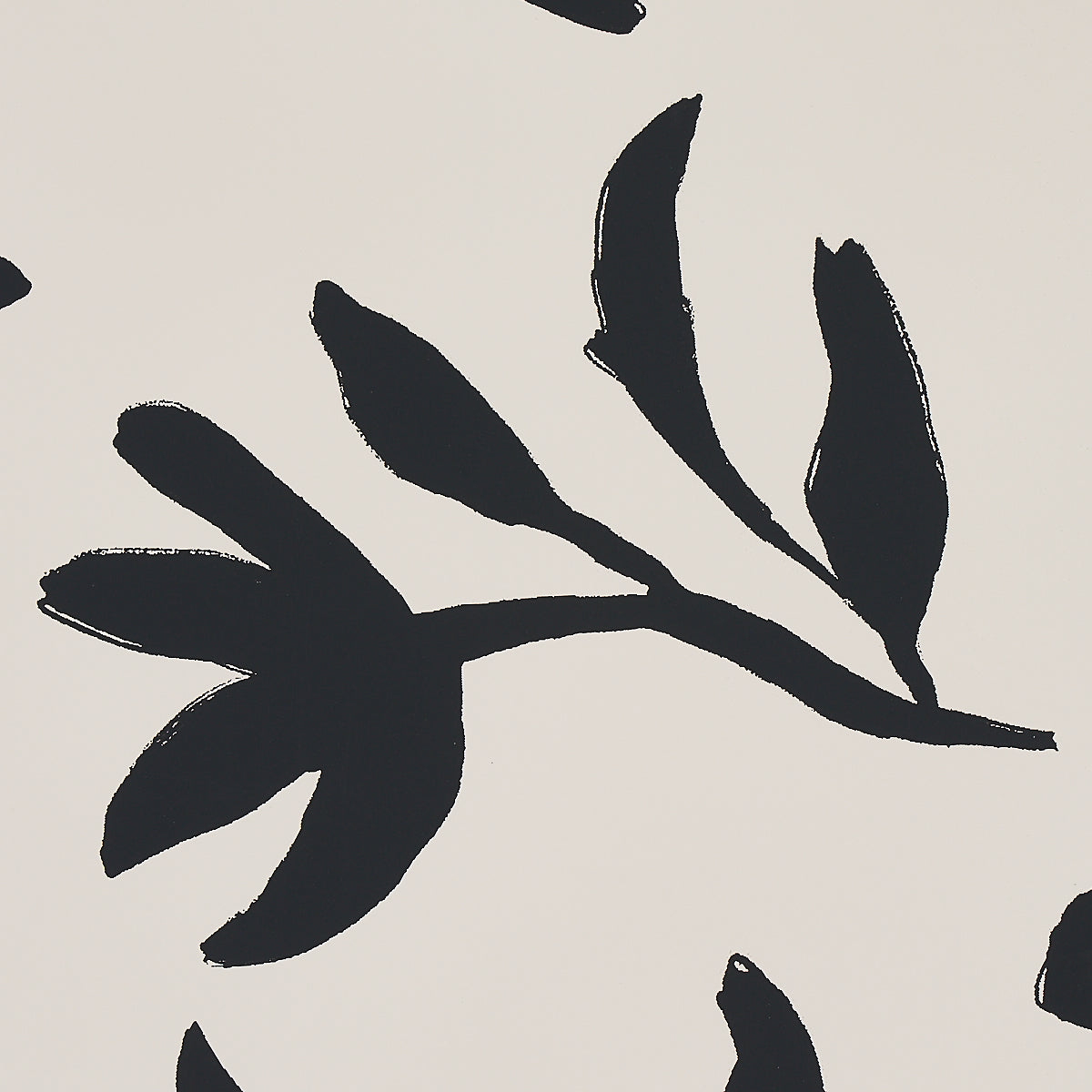 LAUREL-BLACK-SCHUMACHER-5013071