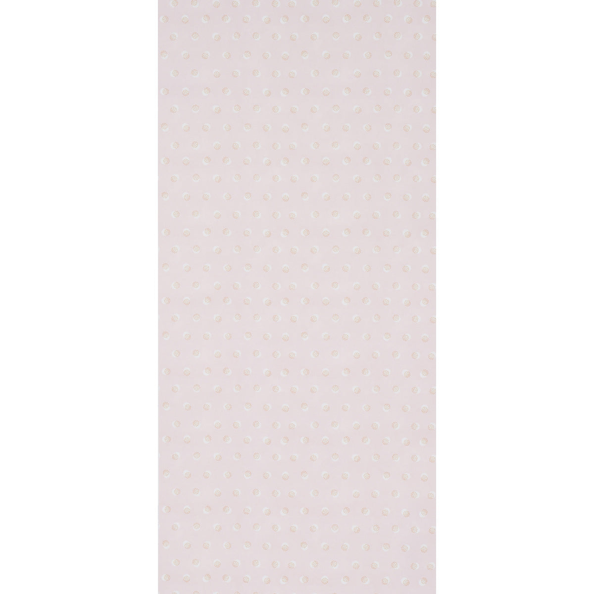 TAYLOR-PINK-SCHUMACHER-5013082