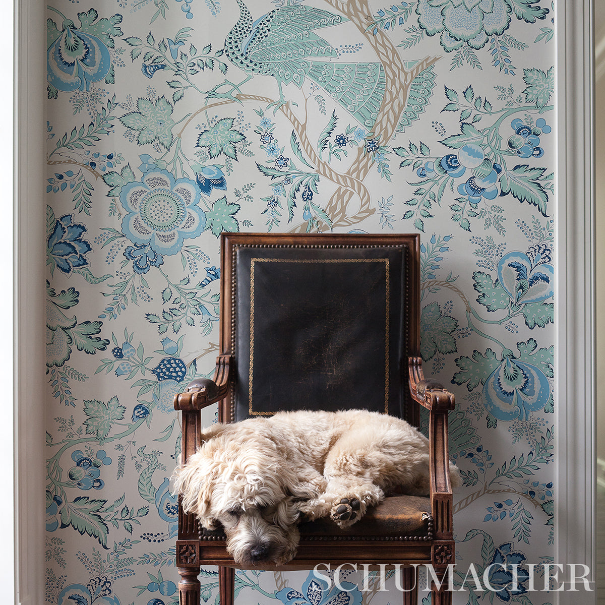 AVELINE-SEAGLASS-SCHUMACHER-5013190