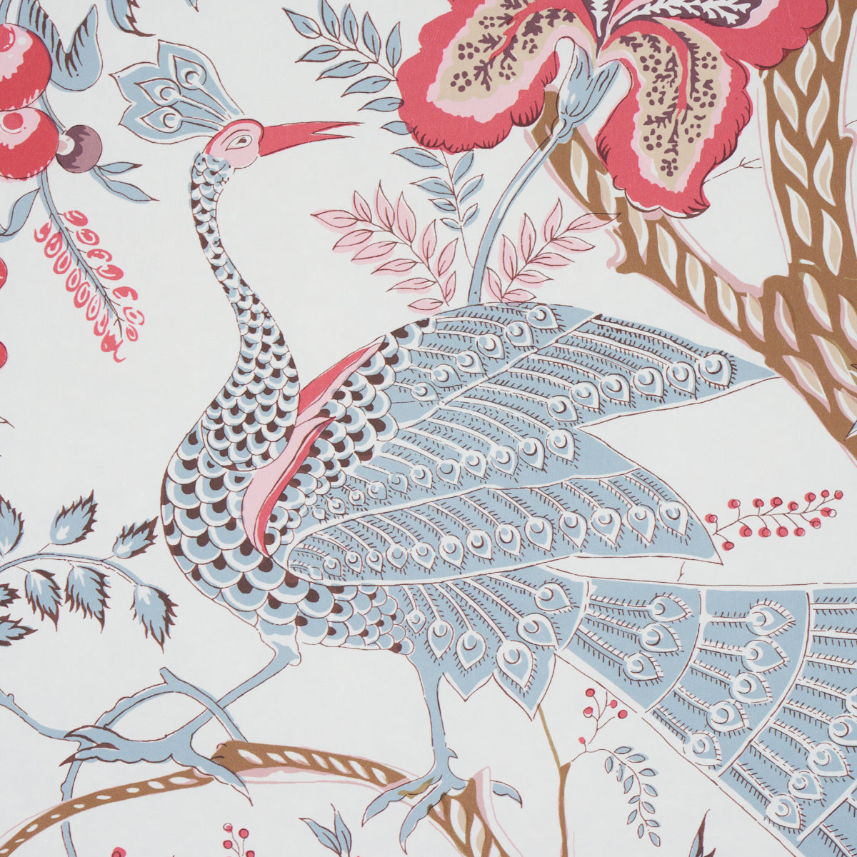 AVELINE-ROSE-SCHUMACHER-5013192